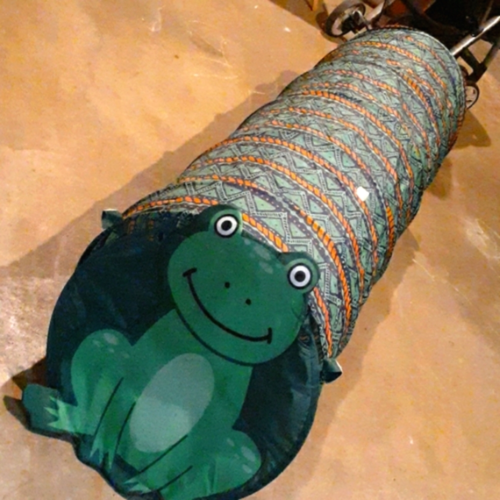 COPY - Frog Tunnel Tent